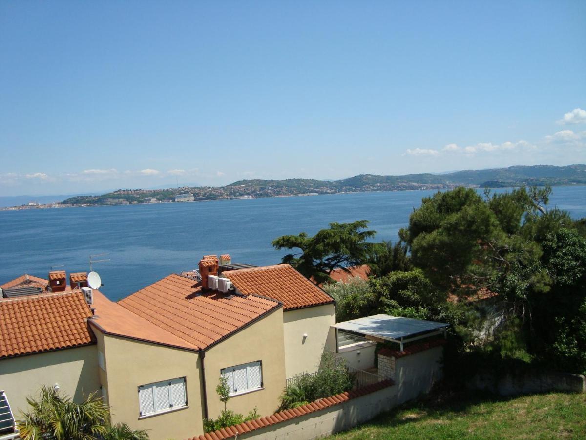 Apartman Carmen Crveni Vrh Εξωτερικό φωτογραφία